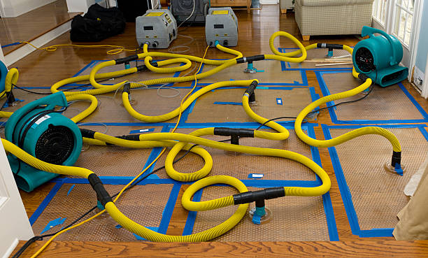 Professional Basement Flood Cleanup technician working in Brownsville, OH